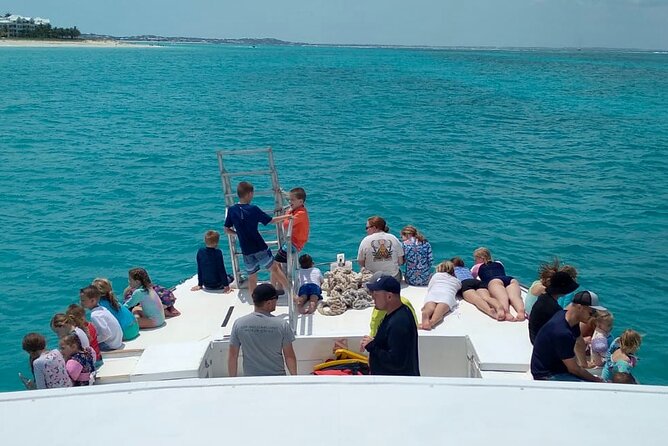 Group Reef, Beach and Sandbar Tour from Providenciales - Why this half-day tour fits Providenciales so well