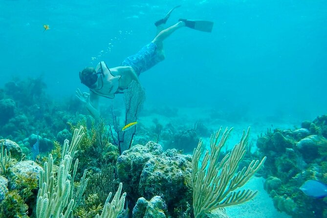 Group Reef, Beach and Sandbar Tour from Providenciales - Lunch onboard and the included rum punch: value beyond the water