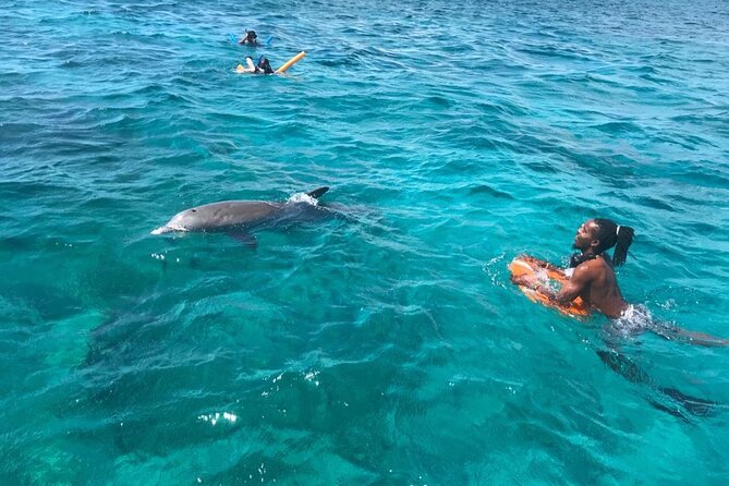 Group Reef, Beach and Sandbar Tour from Providenciales - Snorkeling expectations: what you’ll enjoy, and what can surprise you