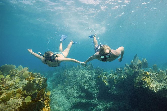 Half Day Private Boat Charter at Grace Bay, Providenciales - Private Charter from Grace Bay: What You’re Really Paying For