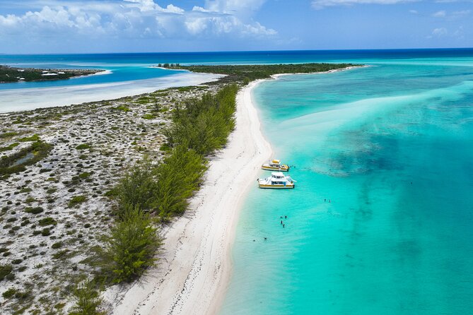 Half Day Private Boat Charter at Grace Bay, Providenciales - Conch Hunting on the Caicos Banks: Fun Food Meets Local Culture
