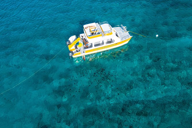 Half Day Private Boat Charter at Grace Bay, Providenciales - What’s Included on the Water: Lunch, Snacks, and Unlimited Drinks