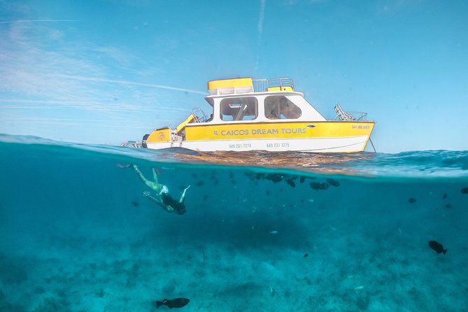 Half Day Private Boat Charter at Grace Bay, Providenciales - The Afternoon Flow: Half-Day vs Full-Day Choices