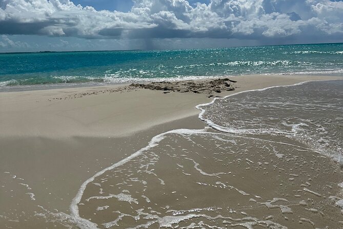 Half Day Private Sun and Snorkel exploring the Turks and Caicos - Iguana Island Time: A Simple Nature Stop That Feels Different