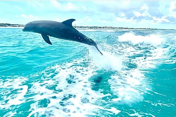 Half Day Snorkel from Providenciales with Visit to Half Moon Bay - Half Moon Bay and Iguana Island: the beach break that feels longer