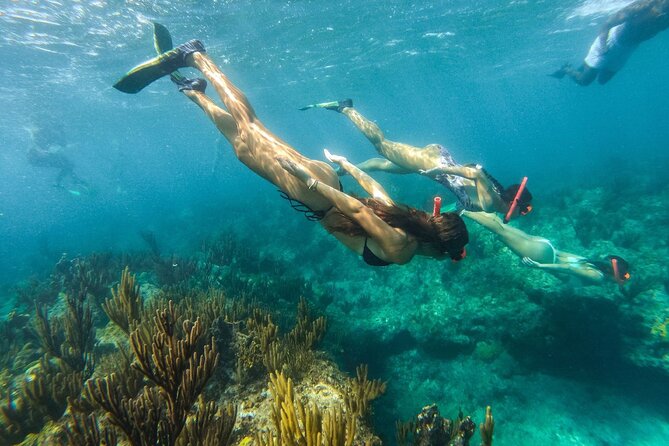 Half Day Snorkel from Providenciales with Visit to Half Moon Bay - The onboard water slide: childish joy with no extra cost