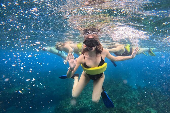 Half Day Snorkel from Providenciales with Visit to Half Moon Bay - Who this tour is best for (and who might want a different plan)