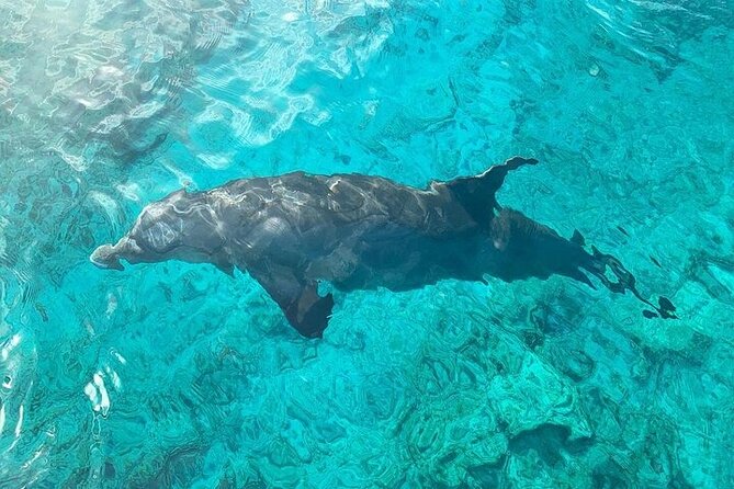 Half Day Snorkeling, Sightseeing & Island Hopping Private Charter - Grace Bay Beach From the Water: Famous Shoreline, Different Angle