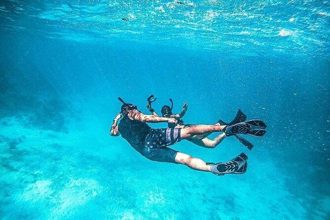 Half Day Snorkeling, Sightseeing & Island Hopping Private Charter (Afternoon) - Little Water Cay (Iguana Island): Quiet Shore Time With Real Wildlife
