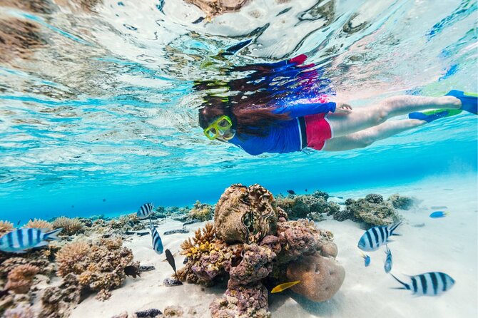 Half Moon Bay Jet Ski Tour & Snorkeling the La Famille Shipwreck - Snorkeling on the Caicos Banks: included gear, but your day can vary