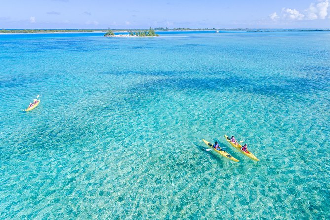 Kayak Eco Tour - Key tour takeaways