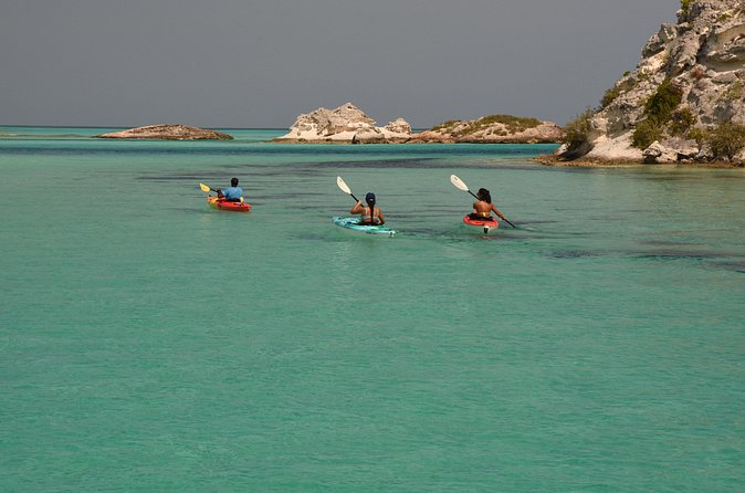 Kayak Eco Tour - Logistics that affect comfort: meeting point, group size, and transfers