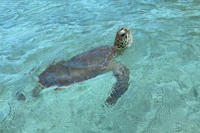 Let me take you to Caicos Jetski safari Private Tour - Jet Ski Safari Around Providenciales’ Best Known Water Stops