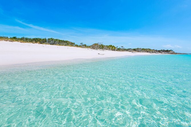 Mangrove Cay and Iguana Island Tours - Price: Is $150 Worth It for a 3-Hour Wildlife Day?