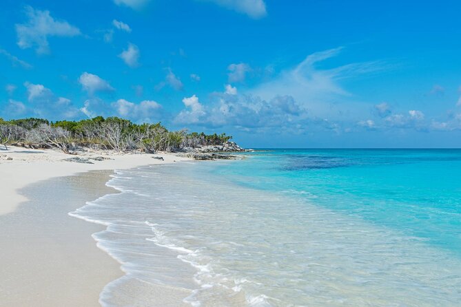 Mangrove Cay and Iguana Island Tours - Packing for Iguanas and Mangroves (So Your Day Stays Fun)