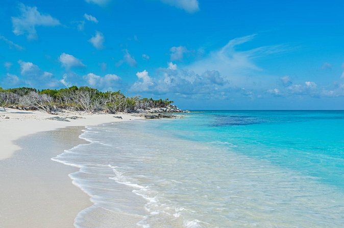 Mangrove Cay and Iguana Island Tours - Should You Book This Tour?