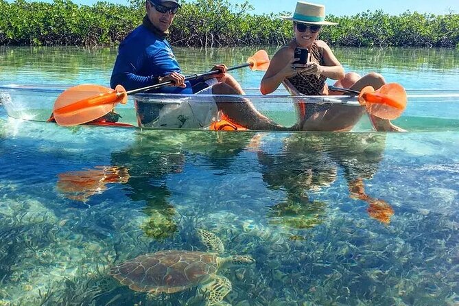 Mangrove Cay Tour - Price: is $130 worth it for a two-hour nature outing?