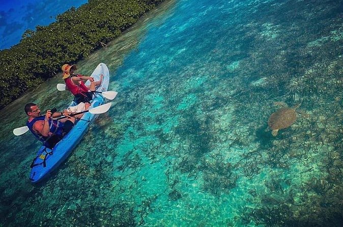 Mangrove & iguana Tour - Getting started at Turks Aqua Adventures in Grace Bay