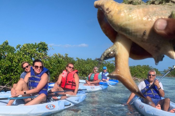 Mangroves Kayak Tour - The route and the 2-hour rhythm (including the Flavors Of The Turks And Caicos stop)