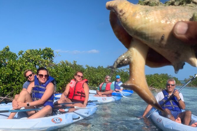 Mangroves Kayak Tour - Eco-friendly kayak, real learning, and the comfort factor