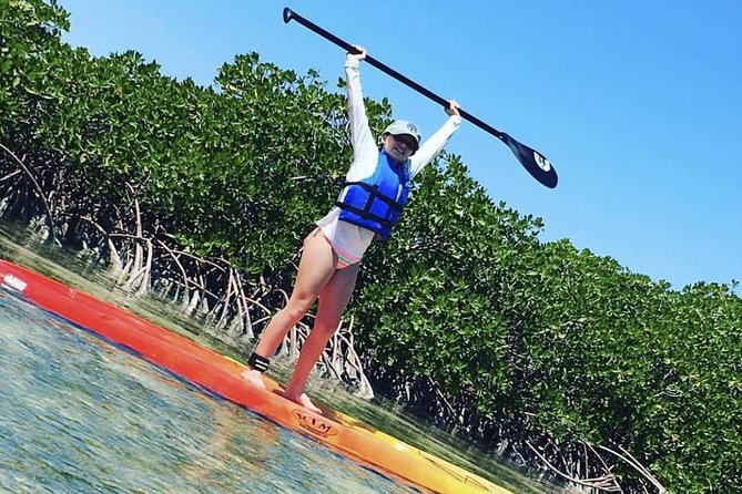 Mangroves Stand-Up Paddleboard Tour - Key Highlights You’ll Notice Right Away
