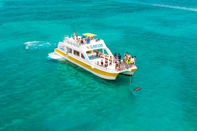 Morning Half Day Cruise from Providenciales with Snorkeling and Iguana Island - Iguana Island (Little Water Cay): lizard spotting without the crowd rush