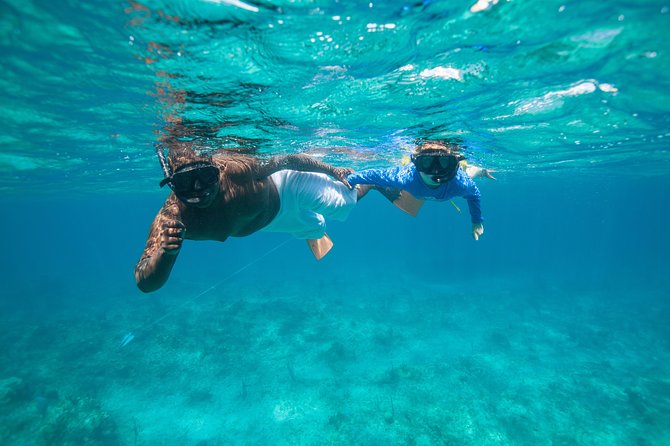 Morning Half Day Cruise from Providenciales with Snorkeling and Iguana Island - Price and logistics: whether $159.30 is good value for you