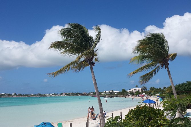 N&G Providenciales Island Tours of Turks and Caicos - Guides make the day: Simpson and Mini as examples of the vibe
