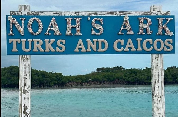 Noahs Ark Catamaran Trip - Should you book Noah’s Ark on a Sunday?