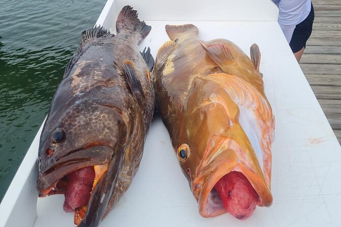 Private 1/2 Day Afternoon Bottom Fishing Charter on "Shady Grady" - A 1pm start from Turtle Cove: how the timing works