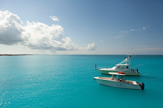 Private 1/2 Day Afternoon Bottom Fishing Charter on "Shady Grady" - Shady Grady comfort: shaded seating, bathroom, and stereo