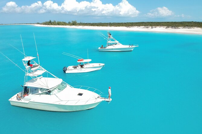 Private 1/2 Day Afternoon Charter Deep Sea Fishing on Wahooter's - Getting to Turtle Cove Marina without stress