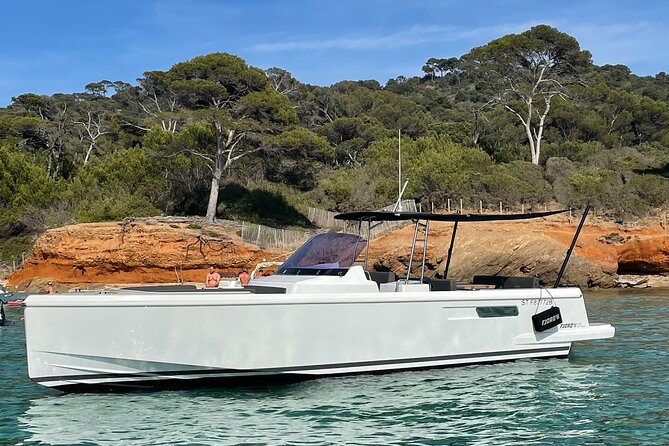 Private Afternoon Tour Fjord 38 Ben - Snorkel Site and What You Should Aim For