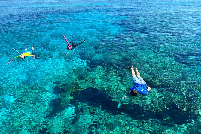 Private Boat Island Hopping & Snorkeling in Turks & Caicos 4Hrs - Cruise Past Conch Farm Before You Hit the Water