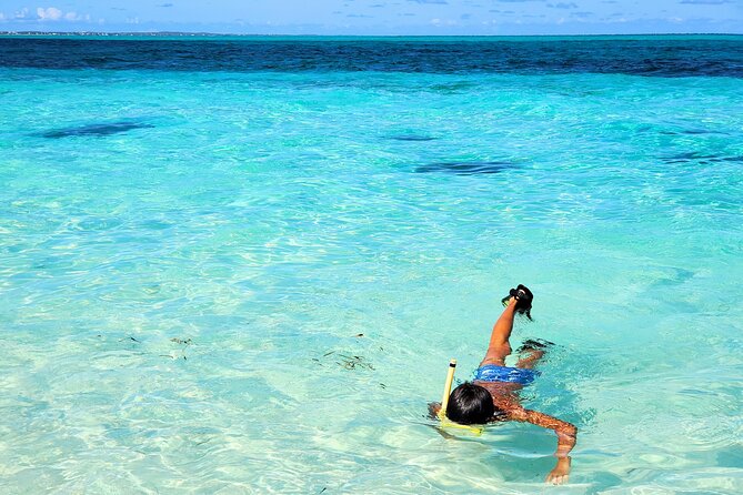 Private Boat Tour with Snorkeling, Island Hopping, and Noahs Ark - Sand Dollar Cove time: optional spotting with the right gear