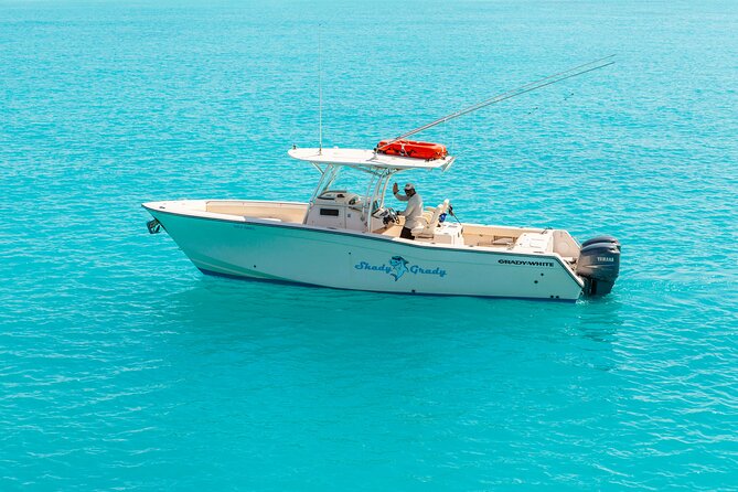 Private Bottom Fishing Charter 1/2 day morning on "Shady Grady" - Quick Take