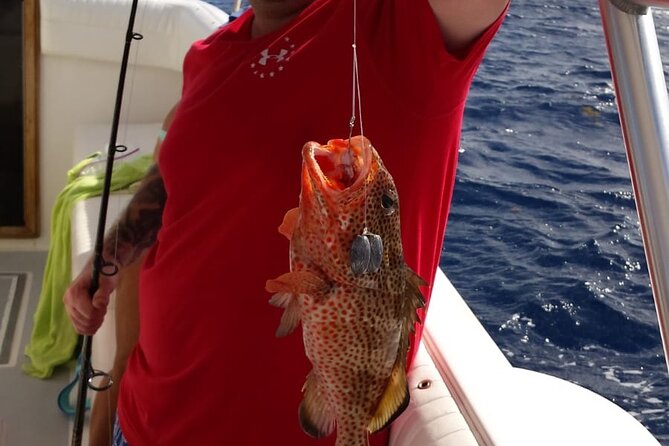 Private Bottom Fishing Charter 1/2 day morning on "Shady Grady" - Pickup and Timing Around Grace Bay: When It Fits Your Day