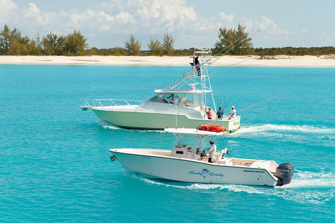 Private Deep Sea Fishing 1/2 Day morning on"Angler Management" - Deep sea trolling in Turks and Caicos: your target fish list