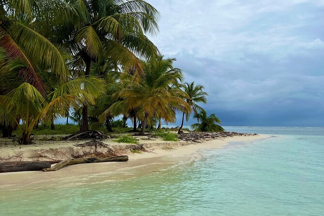Private Half-Day Catamaran Cruise, Turks and Caicos Islands - Noah’s Ark and other custom add-ons: tell Ben what you want