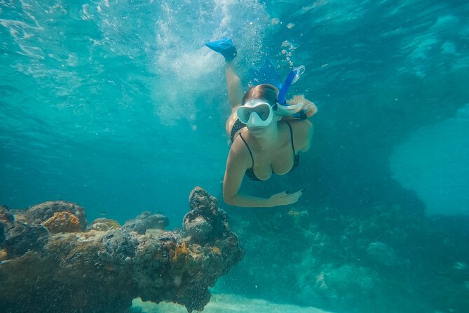 Private Half Day Luxury Snorkeling Charter - Key Points If You Want the Best Reef Time
