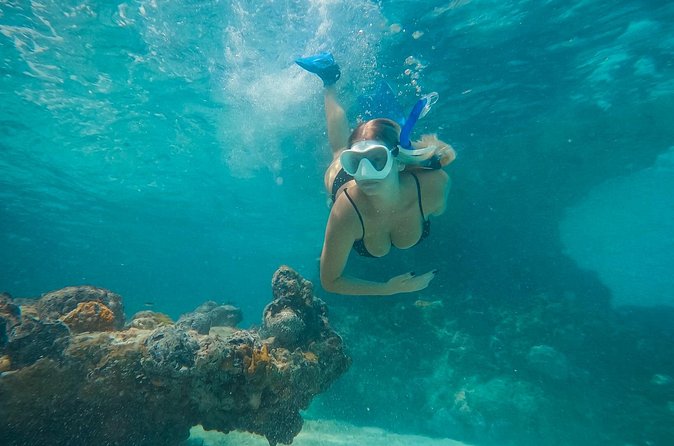Private Half Day Luxury Snorkeling Charter - Price Breakdown: What $1,800 Really Buys You