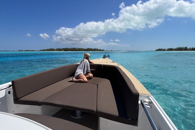 Private Morning Tour Fjord 38 Ben - Snorkel Site: When Your Captain Adds a Water-Focused Option