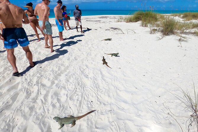 Private Reef, Beach and Sandbar Tour from Providenciales - Little Water Cay vs Half Moon Bay: the stop that’s weather-driven