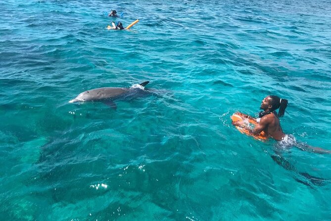 Private Reef, Beach and Sandbar Tour from Providenciales - Pine Cay and a north-coast cruise: Fort George-style beach time