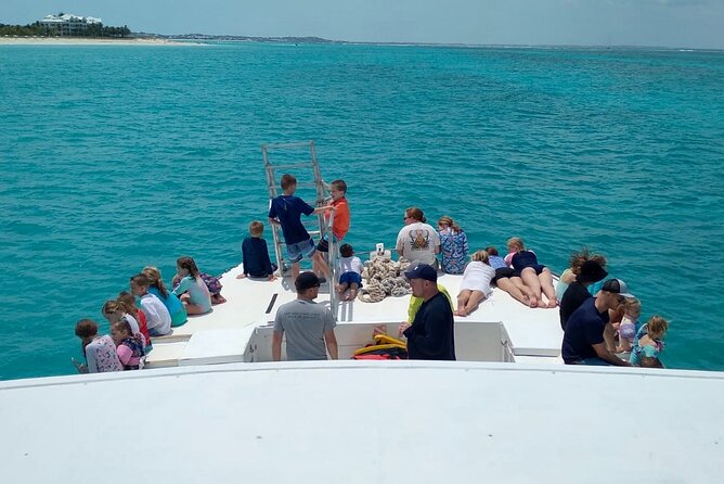 Private Reef, Beach and Sandbar Tour from Providenciales - Timing, weather, and how to choose your half-day