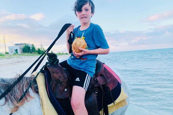 Shared Horseback Riding in Turks and Caicos - The Shallow-Water Trot: Fun Splash Time, Not a Guaranteed Deep-Wade