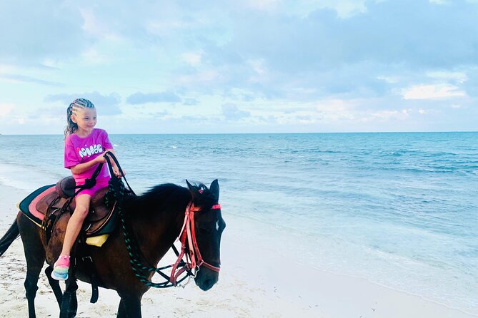 Shared Horseback Riding in Turks and Caicos - What’s Included for $210: Where the Value Actually Comes From
