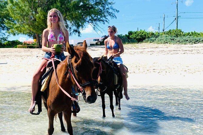 Shared Horseback Riding in Turks and Caicos - What Happens During the Hour: A Simple, Guided Flow