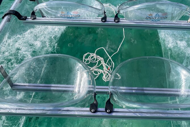 Sip & Sea Mangrove Glass Boat Tour Grand Turk Island - Mangroves, but make it easy to see