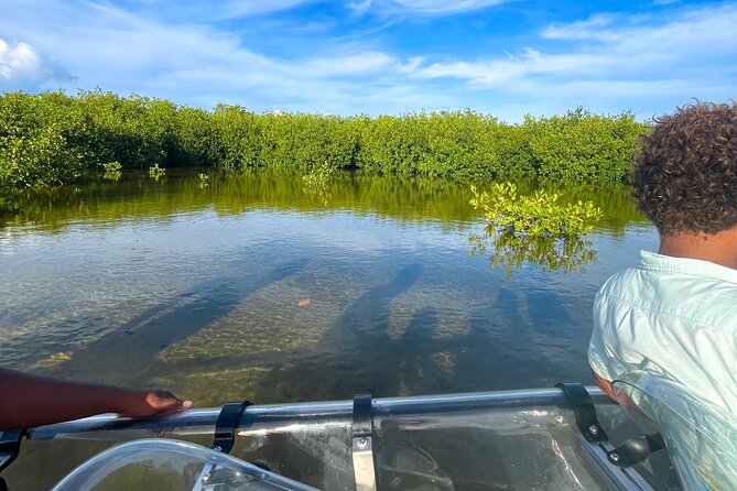 Sip & Sea Mangrove Glass Boat Tour Grand Turk Island - Price and value: what $105 gets you in real terms